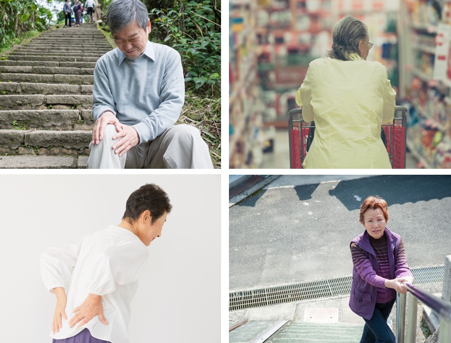 画像の説明 画像の説明